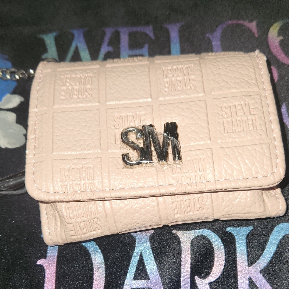 Steve Madden Blush Pink Clutch with Silver Accents